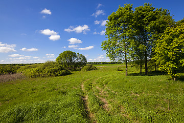 Image showing rural road 