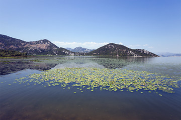 Image showing the lake  