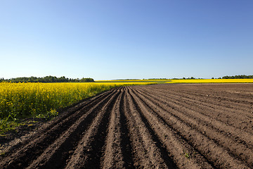 Image showing agriculture  