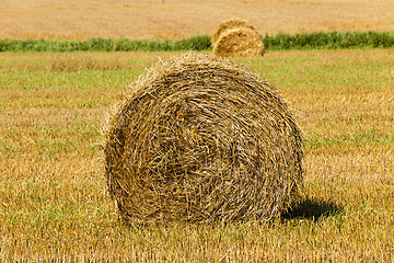 Image showing straw stack  