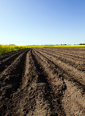 Image showing plowed field 