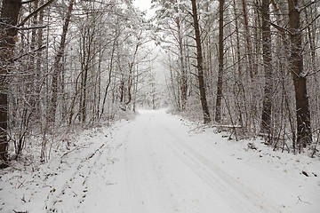 Image showing the winter road  