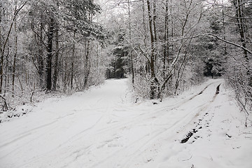 Image showing the winter road  