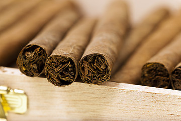 Image showing cigars 