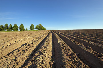 Image showing plowed field 