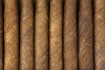 Image showing cigars  