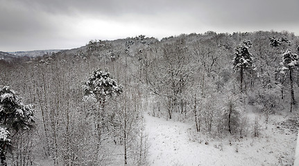 Image showing winter landscape 