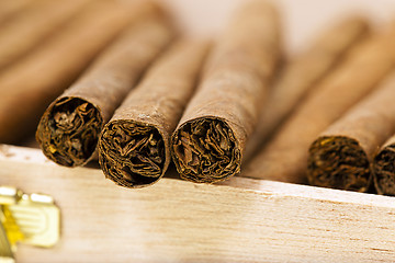 Image showing cigars  