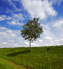 Image showing tree in the field  