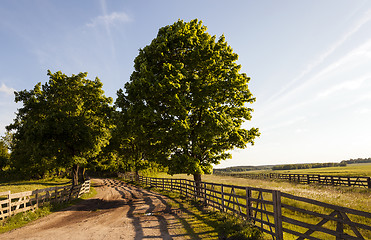 Image showing rural areas  