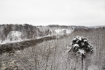 Image showing trees in the winter  