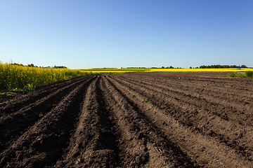 Image showing plowed field  