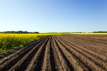 Image showing agriculture  