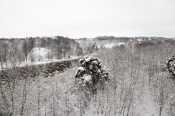 Image showing trees in the winter  