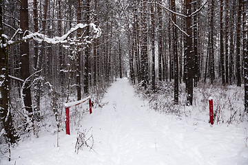 Image showing the winter road  