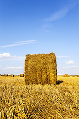 Image showing straw stack  