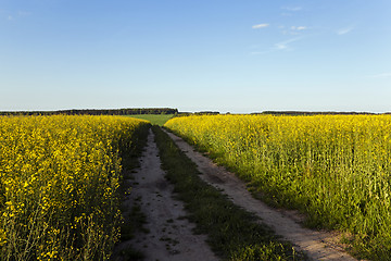 Image showing the road to a field  