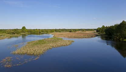 Image showing the lake. summer 