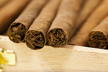 Image showing cigars  