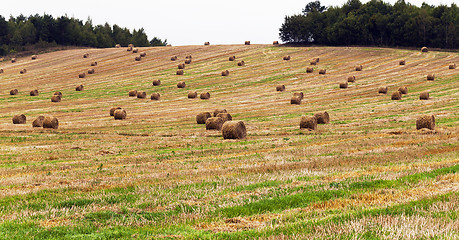 Image showing straw stack  