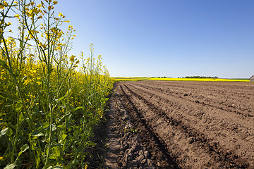 Image showing agriculture  