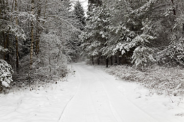 Image showing the winter road  