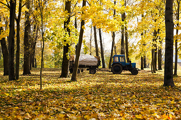 Image showing cleaning of foliage in park 