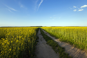 Image showing the road to a field  