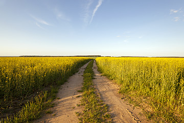 Image showing the road to a field 