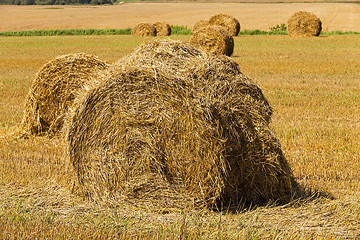 Image showing straw stack  