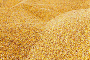 Image showing corn  heap 