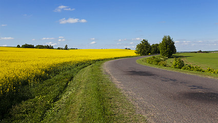 Image showing the asphalted road  