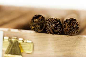 Image showing cigars  