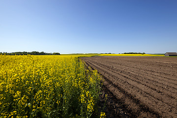 Image showing agriculture  