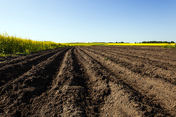 Image showing agriculture  