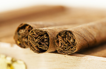 Image showing cigars  