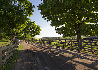 Image showing the road on a farm  