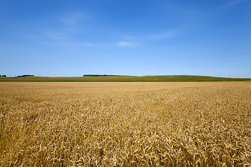 Image showing agricultural field  