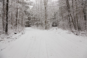 Image showing the winter road  