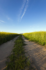 Image showing the road to a field  