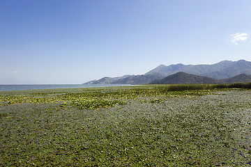 Image showing the lake  
