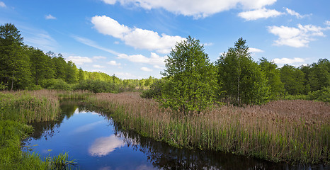 Image showing the river 