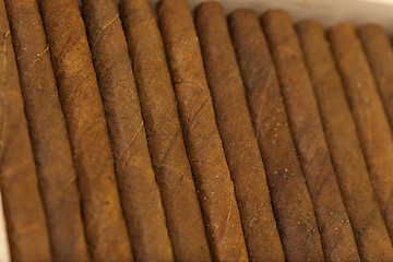 Image showing cigars 