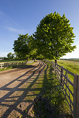 Image showing the road on a farm  