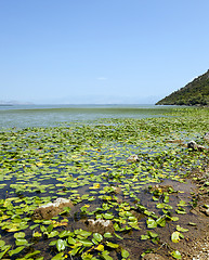 Image showing the lake  Montenegro 