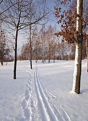 Image showing the winter road  