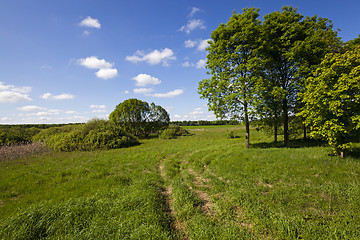 Image showing the rural road  