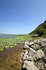 Image showing the lake  