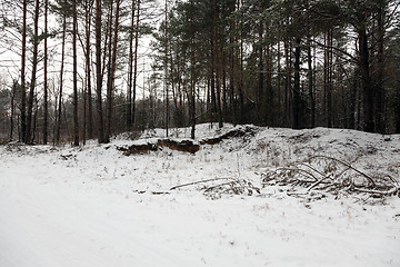 Image showing the winter road  