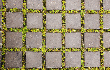 Image showing paving slabs 